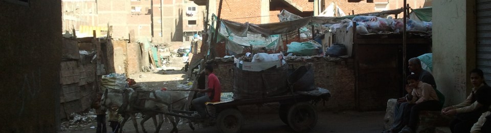 Donkeys carrying the rubbish