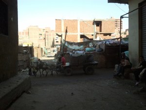 Donkeys carrying the rubbish