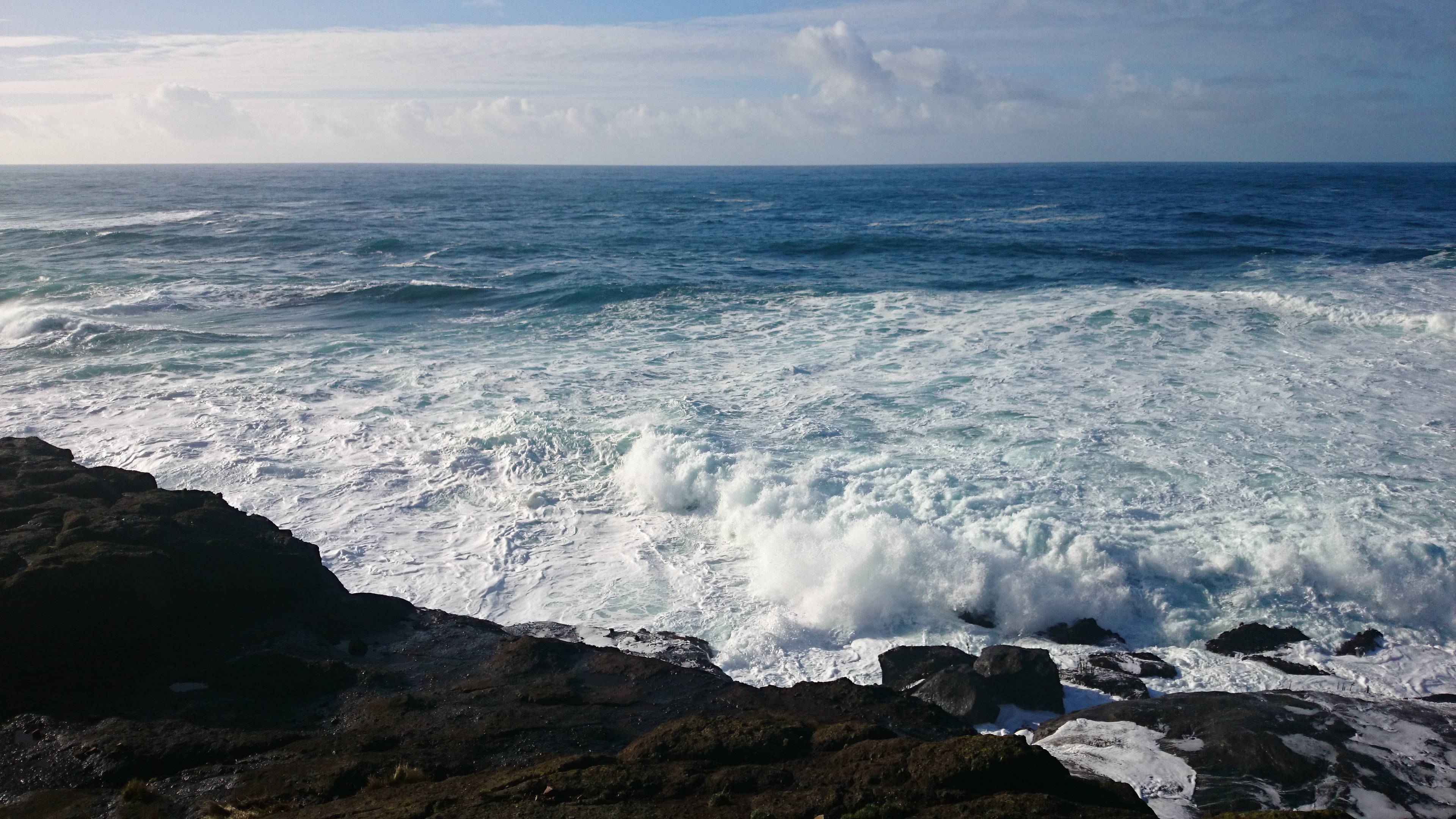 This image has an empty alt attribute; its file name is dsc_0296.jpg