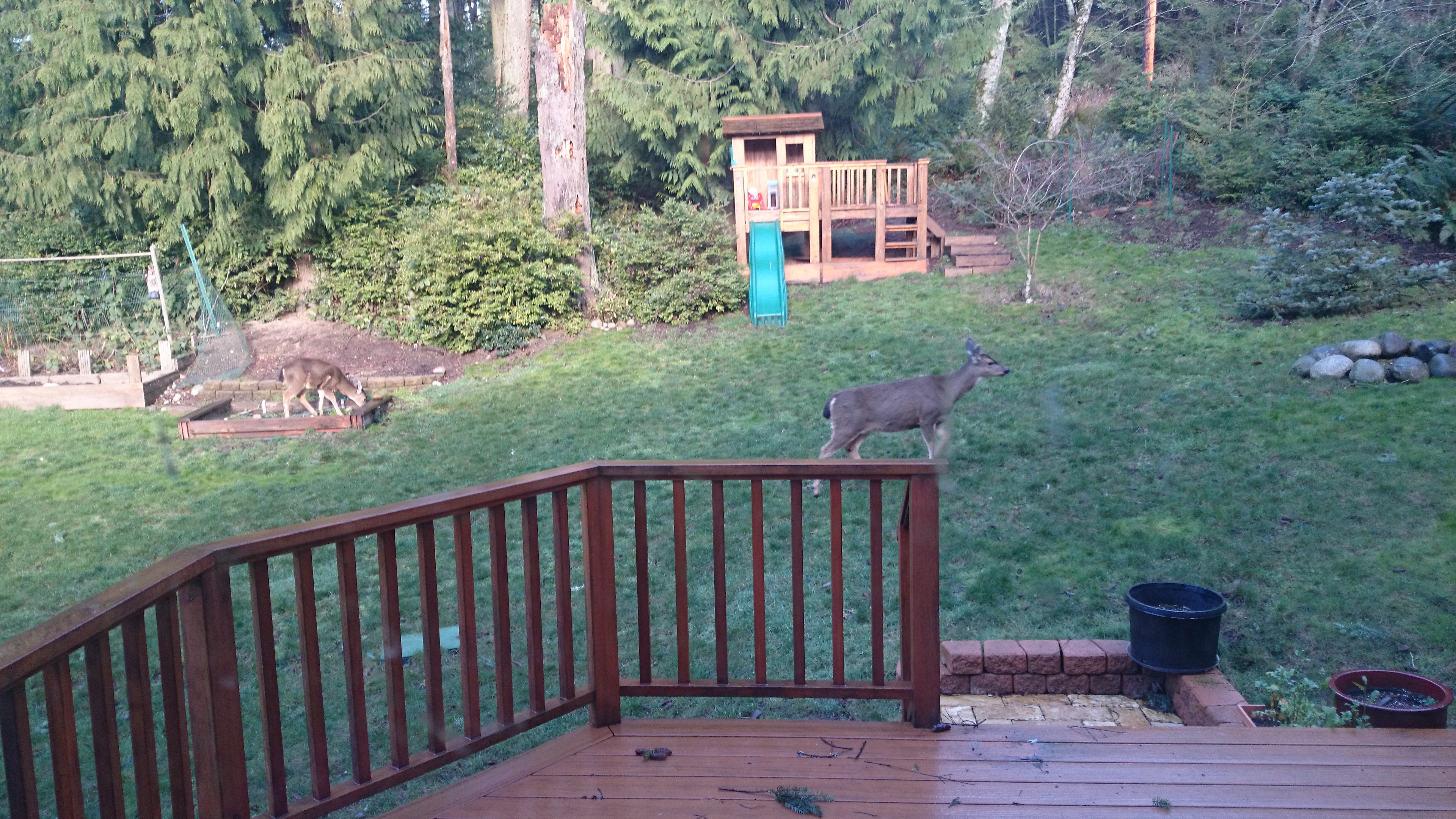 This image has an empty alt attribute; its file name is dsc_0398_1.jpg