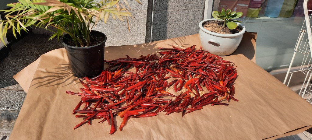 This image has an empty alt attribute; its file name is 20211021_123521.jpg